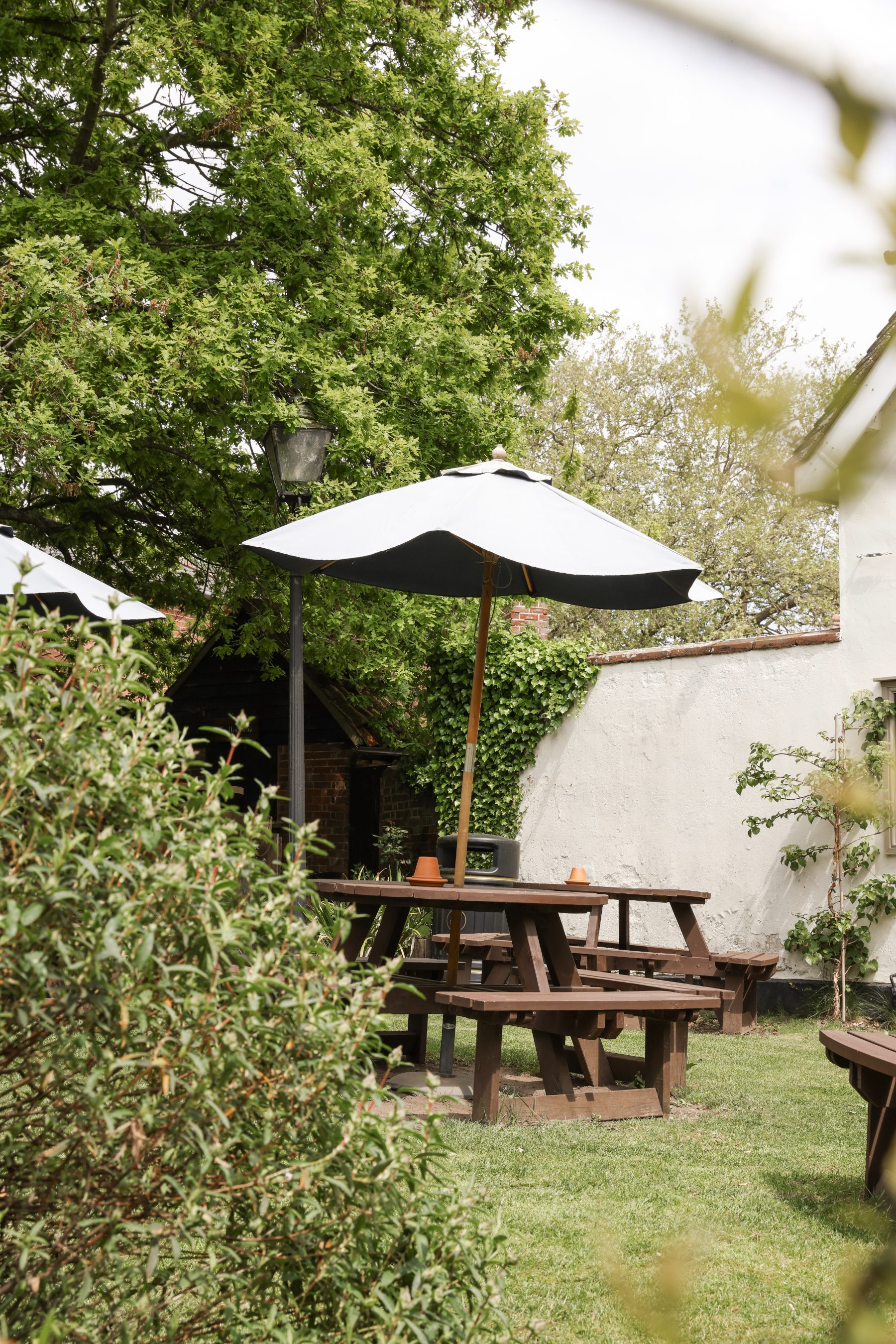 Char-grilled food served in the garden at The Peacock Inn in summer